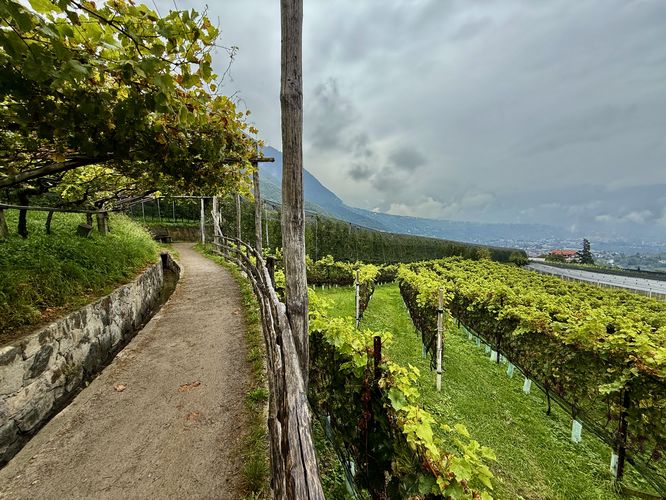 Algunder Waalweg passes through more vineyards