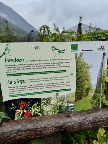 Picture 25 of Algunder Waalweg