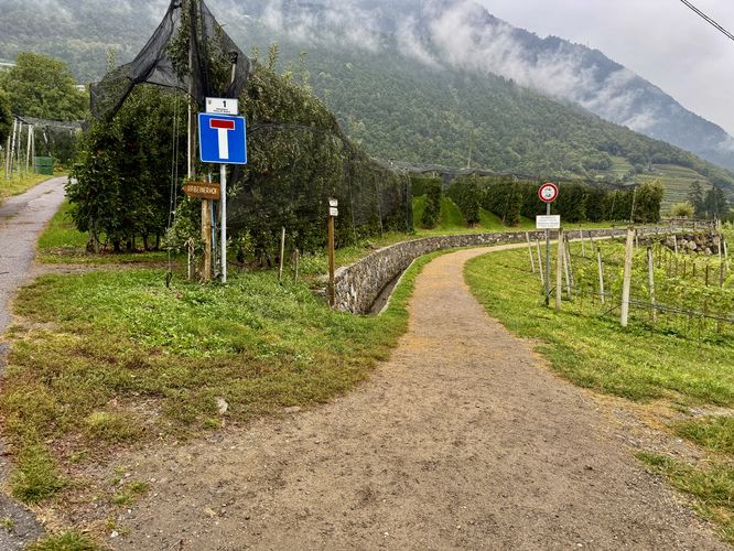 Picture 27 of Algunder Waalweg