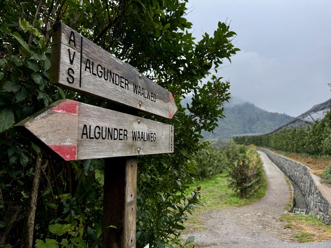 Algunder Waalweg trail signs
