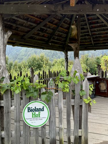 Picture 33 of Algunder Waalweg