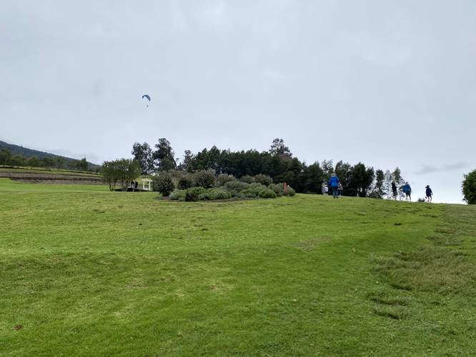 Paraglider flies over lavander farm