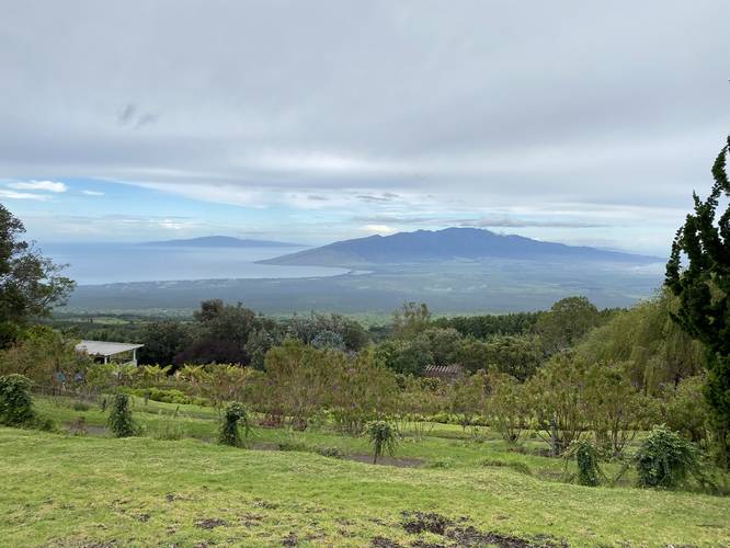 View of the West Maui Mountains and the island of Lanai from the Ali'i Lavander Farm