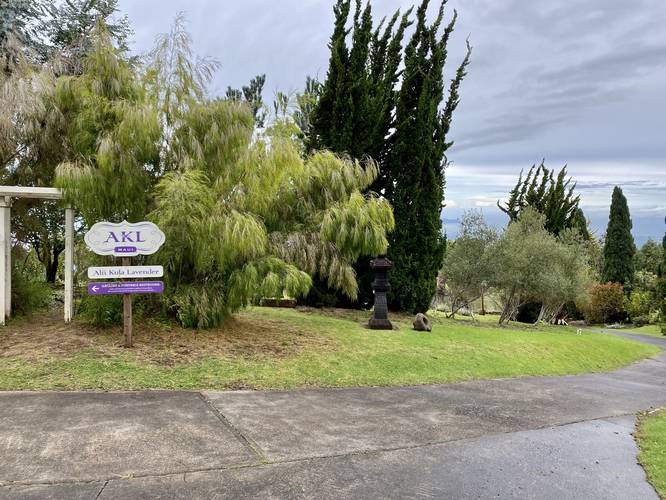 Ali'i Kula Lavender tropical loop trailhead