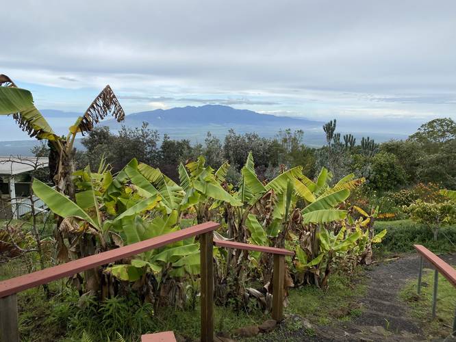 View of the West Maui Mountains and Lanai (with banana trees)