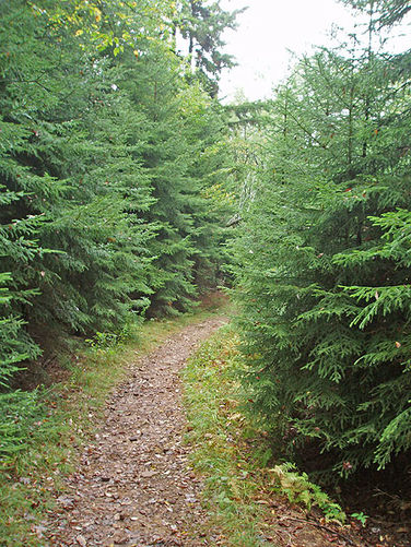 Picture 5 of Allegheny and Seneca Creek Hike 092605