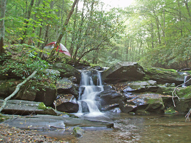 Default image for Allegheny and Seneca Creek Hike, a 12.3-mile trail in Circleville, WV (US)