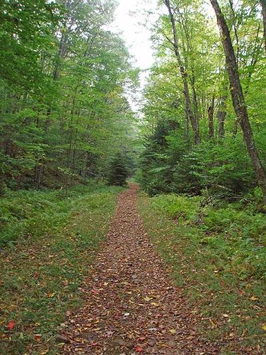 Picture 23 of Allegheny and Seneca Creek Hike 092605
