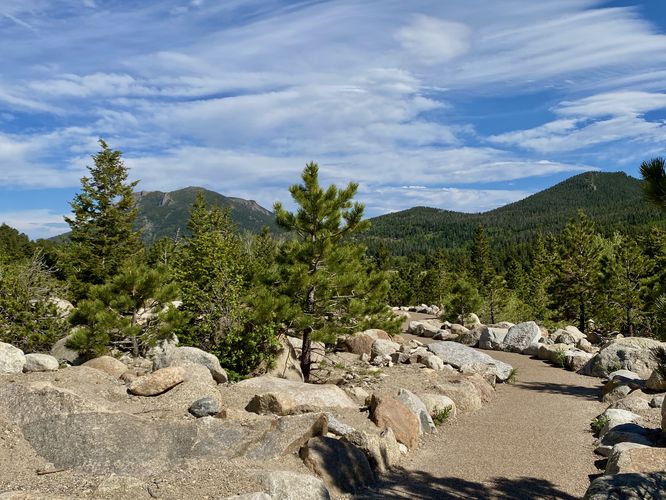 View of Deer Mountain from the trail
