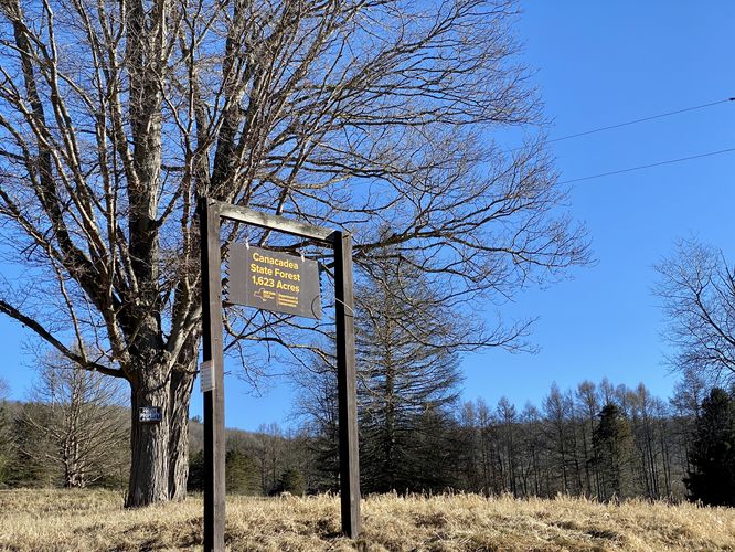 Canacadea State Forest entrance sign