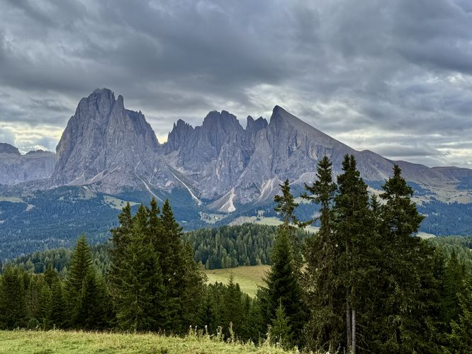 Alpe di Siusi Loop Hike Dolomites  - Alpe di Siusi Loop Hike album