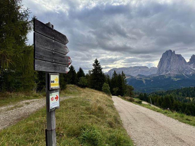 Follow trail signs down the family-friendly gravel roads through the high-elevation meadows