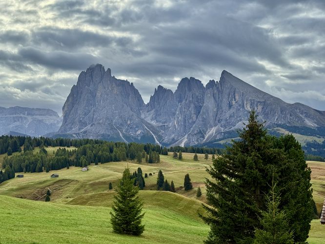 Picture 16 of Alpe di Siusi Loop Hike