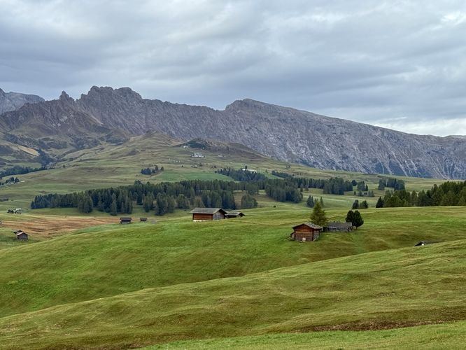 Picture 17 of Alpe di Siusi Loop Hike