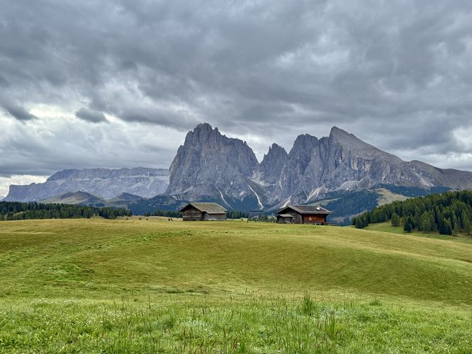 Picture 26 of Alpe di Siusi Loop Hike