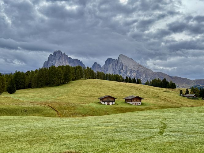 Picture 30 of Alpe di Siusi Loop Hike