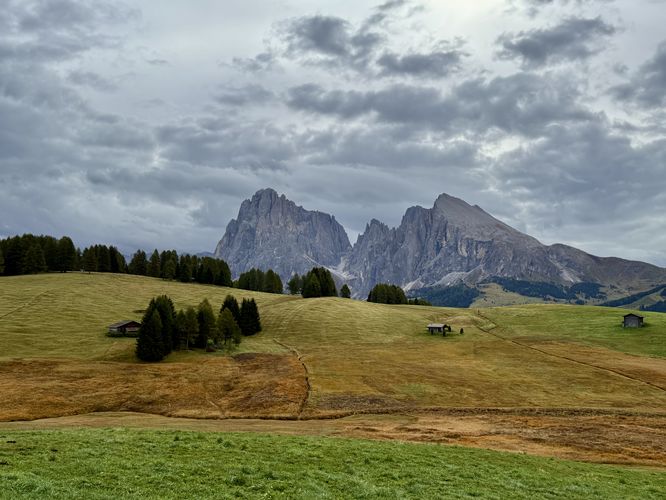 Picture 31 of Alpe di Siusi Loop Hike