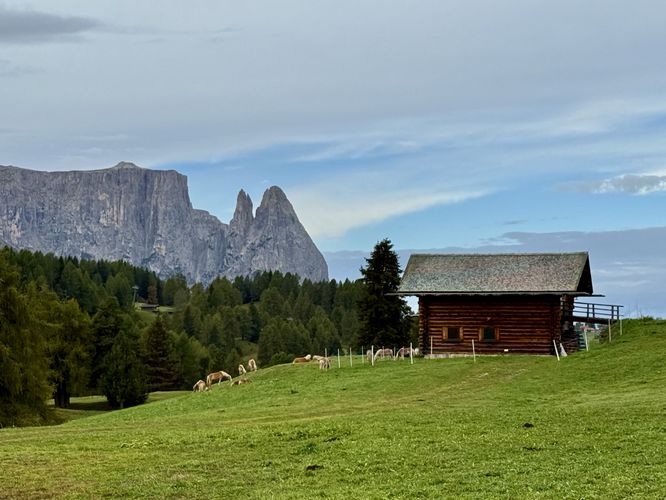 Picture 36 of Alpe di Siusi Loop Hike