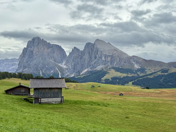 Picture 37 of Alpe di Siusi Loop Hike