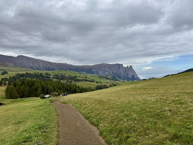 Picture 44 of Alpe di Siusi Loop Hike