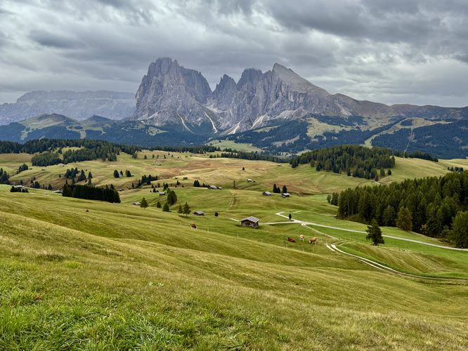 Picture 45 of Alpe di Siusi Loop Hike