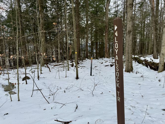 Trailhead for Alpine Vista