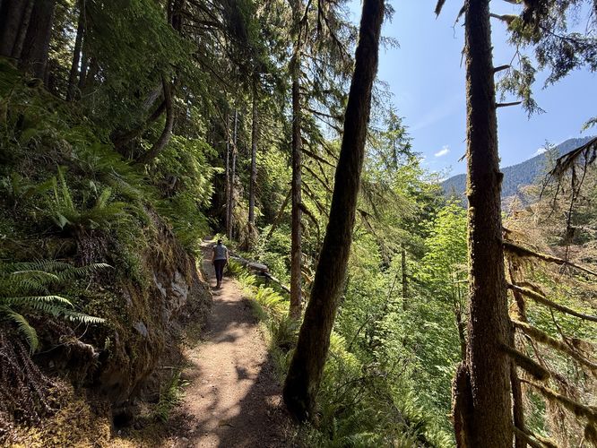Hiking along the steep hillside with some views of the Sol Duc River to the side