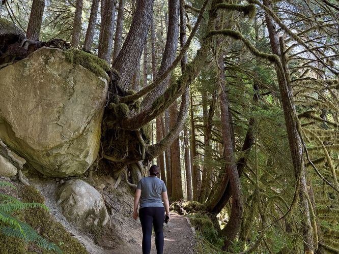 Massive boulder hangs onto the trail's embankment