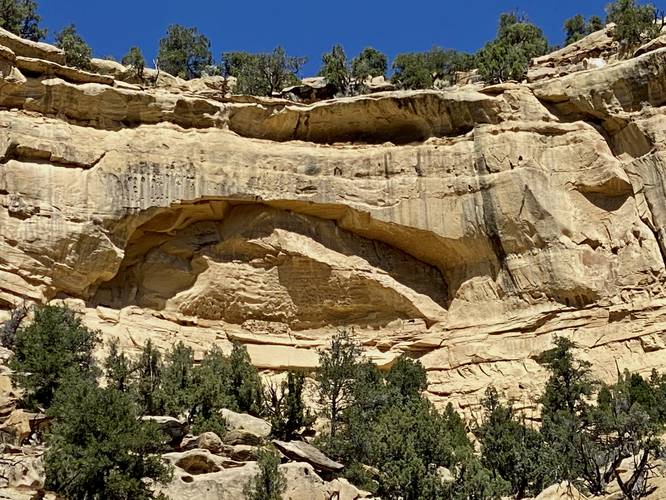 Ancient Puebloan Granary in the cliff