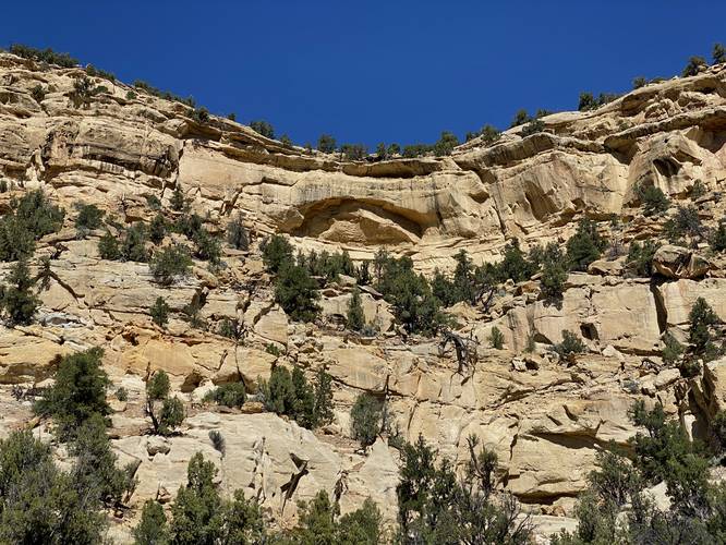 Ancient Puebloan Granary in the cliff