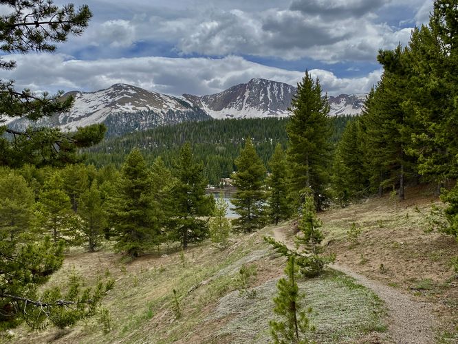 View of Snowdon Peak from the Andrews Lake Trail