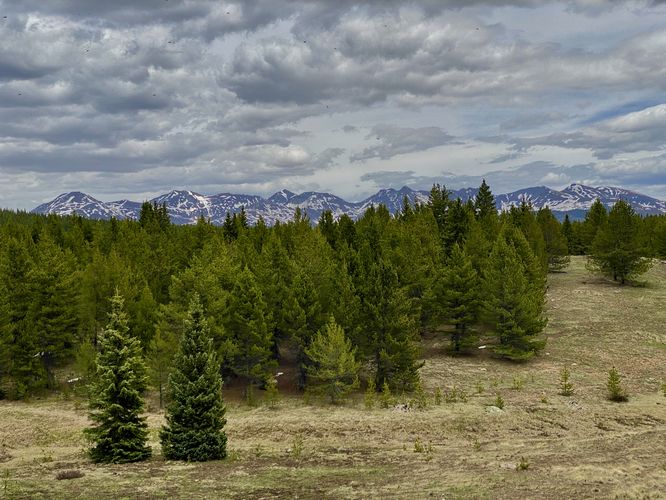 Snow-capped mountains in the distance