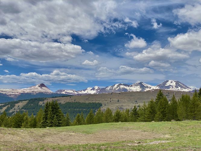 Meadow and snow-capped mountain views