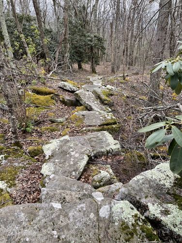Picture 6 of Angels Rest Woods Hole Hostel Hike 042121