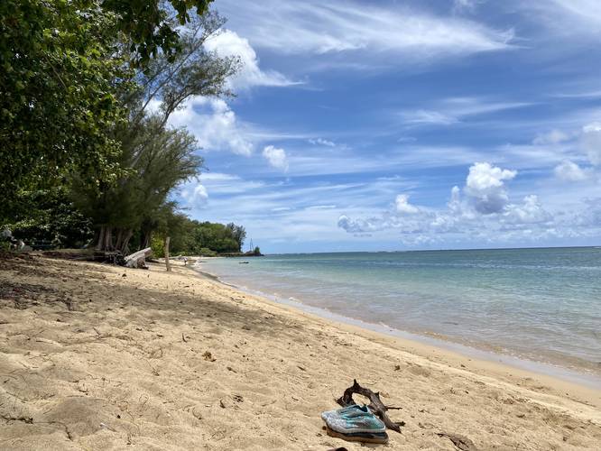View of Anini Beach facing west