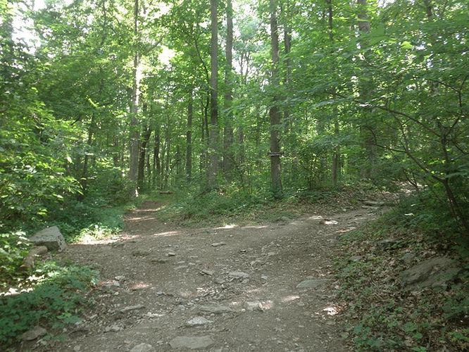 Picture 6 of Annapolis Rock and Black Rock Cliff Hike 062511