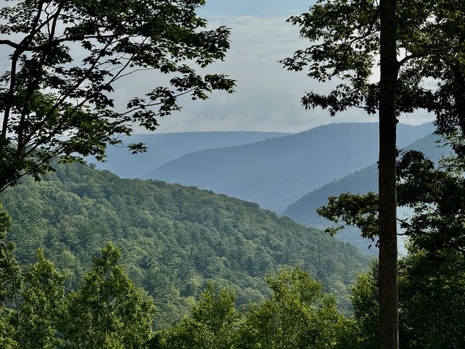 View / Overlook / Vista