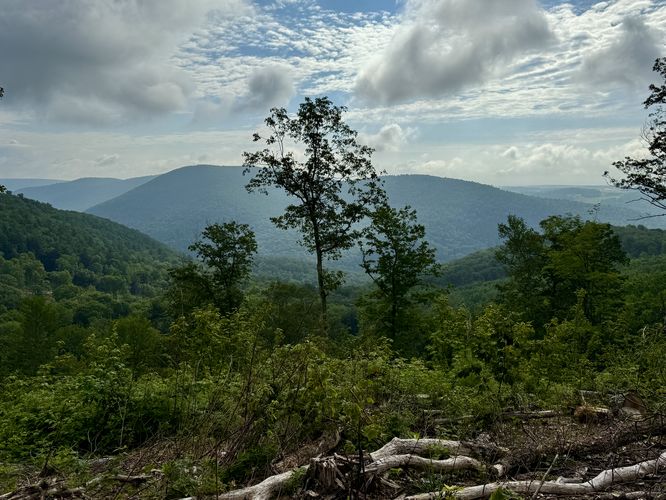 View / Overlook / Vista
