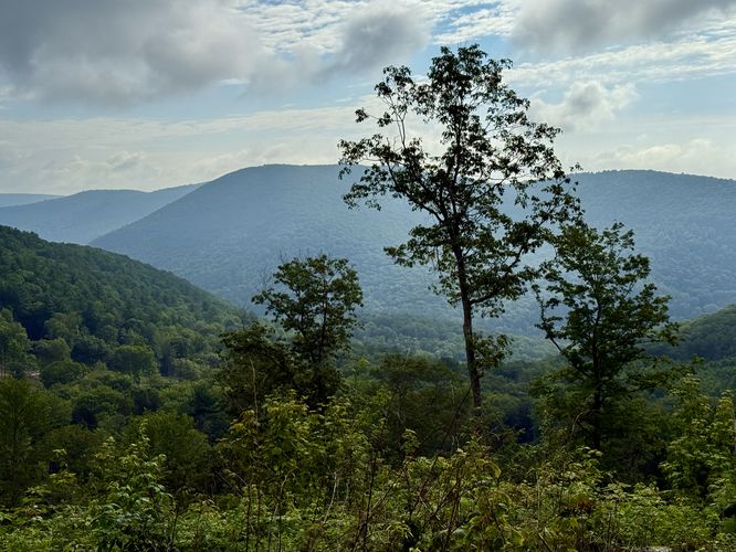 View / Overlook / Vista