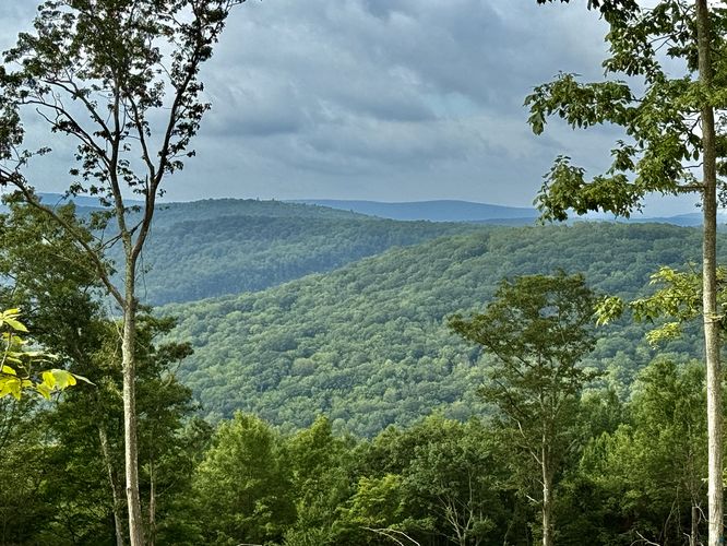 View / Overlook / Vista