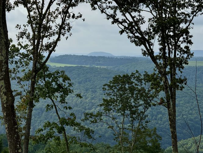 View / Overlook / Vista