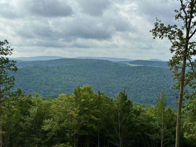 View / Overlook / Vista
