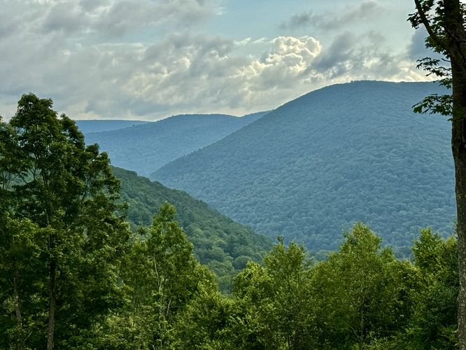 Default image for Ansonia Knob Hike, a 1.9-mile trail in Ansonia, PA (US)