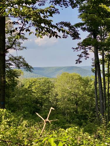 Ansonia Ridge Window (view)