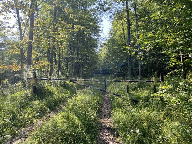 Trailhead for hike