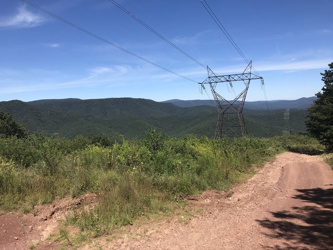 Default image for Anthill and Slate Lick Hike, a 11.0-mile trail in Singers Glen, VA (US)