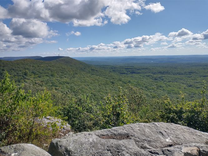 Default image for Appalachian Trail at Fox Gap, a 4.9-mile trail in Arlington Heights, Pennsylvania (US)