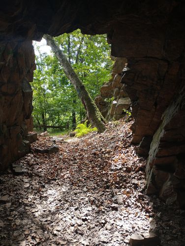 The view from inside the cave looking out onto Tott's Gap Hill Road.