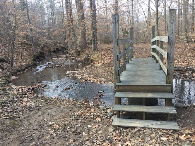 Picture 6 of Appomattox History Trail Hike 012917