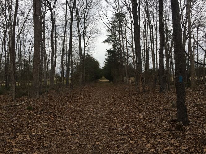Picture 18 of Appomattox History Trail Hike 012917